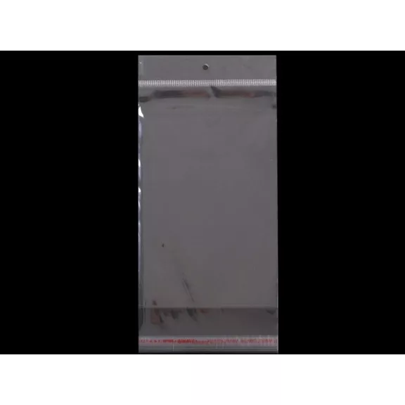 PP ragasztócsíkos celofán tasak jellegű BOPP tasak akasztóval 13x22cm - átlátszó (12000 db-os csomagolás) PP ragasztócsíkos celofán tasak jellegű BOPP tasak akasztóval 13x22cm - átlátszó (12000 db-os csomagolás)