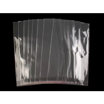   PP ragasztócsíkos celofán tasak jellegű BOPP tasak 26x40 cm - átlátszó (1000 db-os csomagolás)