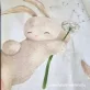 Pici nyuszi designer pamut perkál