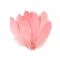 Színes liba toll 15-21 cm-es - 42 pink (20 db-os csomagolás)