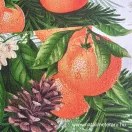 Karácsonyi mandarinok 50 cm széles vastag pamutvászon