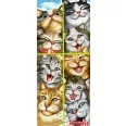 Cat friends 150 cm wide waffle fabric panels