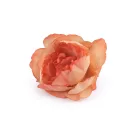 Mű rózsa virág Ø5-6 cm - 3 variáns készlet (30 db-os csomagolás) Mű rózsa virág Ø5-6 cm - 3 variáns készlet (30 db-os csomagolás)