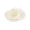 Organza virág rózsa varrásra és ragasztásra Ø8 cm - 2 krém világos (1 db-os csomagolás)