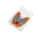Yorkshire terrier vasalható folt / ovis jel - barna szürke
650266 650303 650321 650343 510604 (30 db-os csomagolás) Yorkshire terrier vasalható folt / ovis jel - barna szürke
650266 650303 650321 650343 510604 (30 db-os csomagolás)
