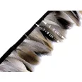 Paszomány - kacsa toll 6-8 cm