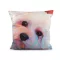 Bársony párnahuzat kutyus, cica 45x45 cm - 3 multicolor kutya (1 db-os csomagolás)