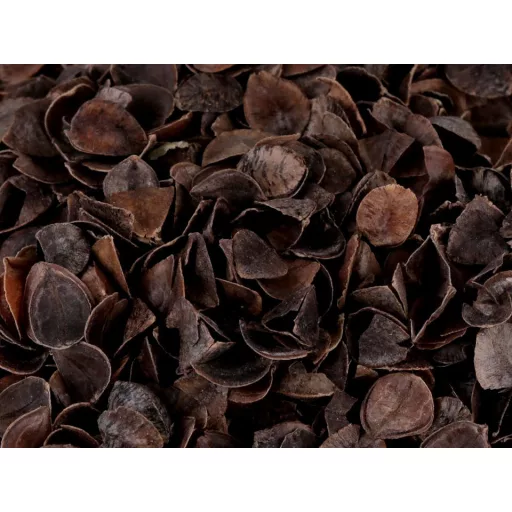 Tömőanyag - hajdina 1 kg