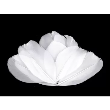 Libatoll hossza 5,5-7 cm - 1 fehér (24 zacskó)