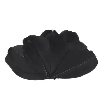 Libatoll hossza 5,5-7 cm - 8 fekete (24 zacskó)