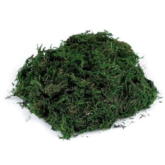 Dekorációs moha 50 g - élénkzöld (1 db-os csomagolás) Dekorációs moha 50 g - élénkzöld (1 db-os csomagolás)