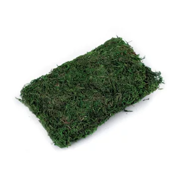 Dekorációs moha 50 g - élénkzöld (1 db-os csomagolás)