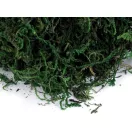 Dekorációs moha 50 g - élénkzöld (1 db-os csomagolás) Dekorációs moha 50 g - élénkzöld (1 db-os csomagolás)