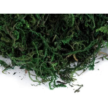 Dekorációs moha 50 g - élénkzöld (1 db-os csomagolás)