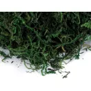 Dekorációs moha 50 g - élénkzöld (3 db-os csomagolás) Dekorációs moha 50 g - élénkzöld (3 db-os csomagolás)