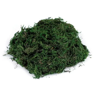 Dekorációs moha 50 g - élénkzöld (6 db-os csomagolás)