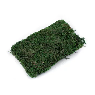 Dekorációs moha 50 g - élénkzöld (6 db-os csomagolás)
