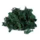 Stabilizált / előkészített moha 20 g dobozban - 4 zöld sötét (1 db-os csomagolás)