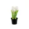Élethű cserepes tulipán - 1 (21cm) fehér (1 db-os csomagolás)