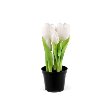   Élethű cserepes tulipán - 1 (21cm) fehér (4 db-os csomagolás)