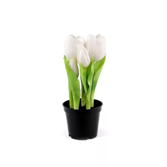 Élethű cserepes tulipán - 1 (21cm) fehér (4 db-os csomagolás) Élethű cserepes tulipán - 1 (21cm) fehér (4 db-os csomagolás)