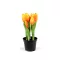 Élethű cserepes tulipán - 4 (21cm) sárga (1 db-os csomagolás)