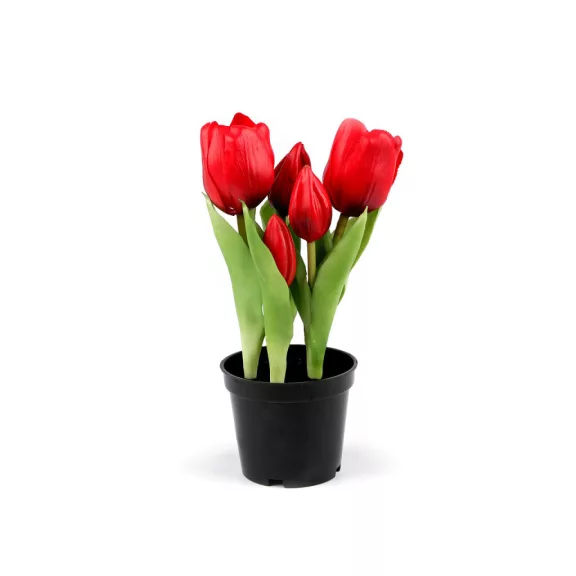 Élethű cserepes tulipán - 5 (21cm) piros (4 db-os csomagolás) Élethű cserepes tulipán - 5 (21cm) piros (4 db-os csomagolás)
