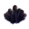 Fácán toll hossza 5-7 cm - 7 blue dark (1 zacskó)