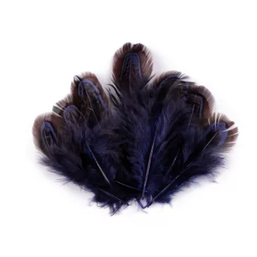 Fácán toll hossza 5-7 cm - 7 blue dark (30 zacskó)