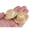 Mini szalmakalap figurákkal és dekorációval - természetes világos (20 db-os csomagolás) Mini szalmakalap figurákkal és dekorációval - természetes világos (20 db-os csomagolás)