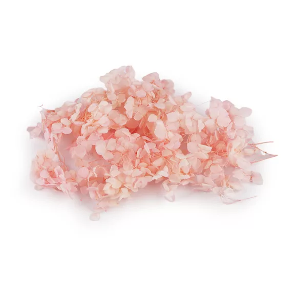 Szárított / stabilizált hortenzia száraz és nedves díszítésre - 2 púderrózsaszín (3 box) Szárított / stabilizált hortenzia száraz és nedves díszítésre - 2 púderrózsaszín (3 box)