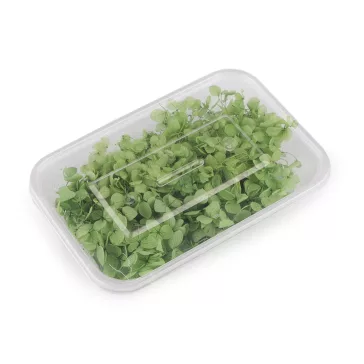   Szárított / stabilizált hortenzia száraz és nedves díszítésre - 3 fűzöld (3 box)