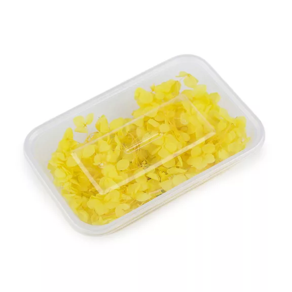 Szárított / stabilizált hortenzia száraz és nedves díszítésre - 11 sárga (3 box) Szárított / stabilizált hortenzia száraz és nedves díszítésre - 11 sárga (3 box)