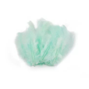 Tyúk toll 8-9 cm - 7 menta (20 zacskó)