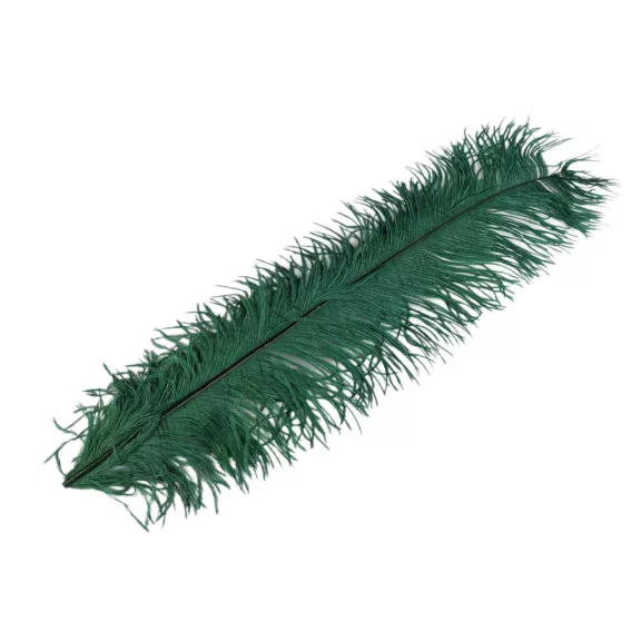 Strucc toll hosza 50-55 cm - 6 zöld sötét (1 db-os csomagolás) Strucc toll hosza 50-55 cm - 6 zöld sötét (1 db-os csomagolás)