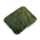 Dekorációs természetes moha 250 g - élénkzöld (1 zacskó) Dekorációs természetes moha 250 g - élénkzöld (1 zacskó)