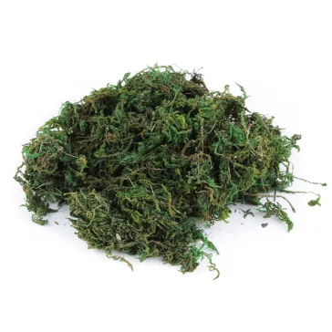  Dekorációs természetes moha 250 g - élénkzöld (2 zacskó)