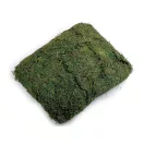 Dekorációs természetes moha 250 g - élénkzöld (2 zacskó) Dekorációs természetes moha 250 g - élénkzöld (2 zacskó)