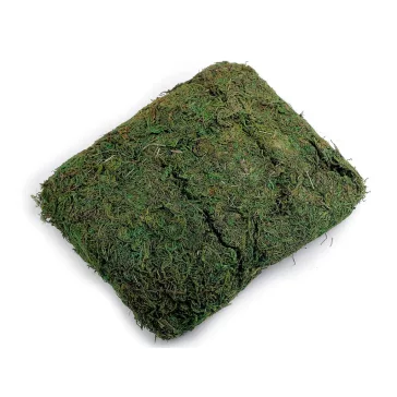   Dekorációs természetes moha 250 g - élénkzöld (2 zacskó)