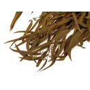 Stabilizált eukaliptusz csokor - 1 khaki (1 csokor)