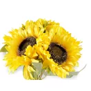 Napraforgó virágcsokor - 2 sárga (3 bunch)