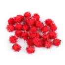 Színes Pom pom golyók lurexszel Ø15 mm - 4 mix karácsonyi (1 zacskó) Színes Pom pom golyók lurexszel Ø15 mm - 4 mix karácsonyi (1 zacskó)