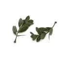 Mű mini buxus ág díszítésre - 2 élénkzöld (20 db-os csomagolás) Mű mini buxus ág díszítésre - 2 élénkzöld (20 db-os csomagolás)