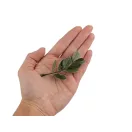 Mű mini buxus ág díszítésre - 2 élénkzöld (100 db-os csomagolás)