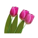 Fa tulipán beszúrós - 2 pink (3 db-os csomagolás) Fa tulipán beszúrós - 2 pink (3 db-os csomagolás)