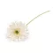 Mesterséges gerbera hosszú száron - 1 krém világos (1 db-os csomagolás)