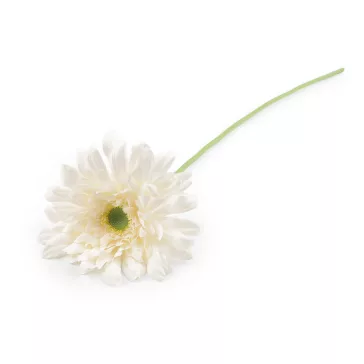   Mesterséges gerbera hosszú száron - 1 krém világos (6 db-os csomagolás)