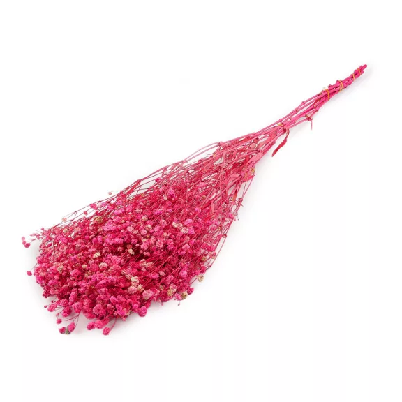 Stabilizált rezgő csokor - 1 pink (1 csokor) Stabilizált rezgő csokor - 1 pink (1 csokor)