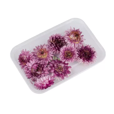   Szárított / stabilizált szalmavirág száraz és vizes tűzéshez - 3 pink (3 box)
