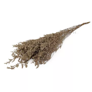   Stabilizált sóvirág csokor - 1 természetes fehér (4 bunch)